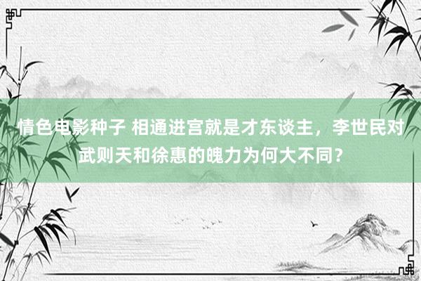 情色电影种子 相通进宫就是才东谈主，李世民对武则天和徐惠的魄力为何大不同？