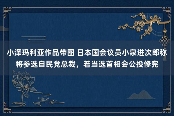 小泽玛利亚作品带图 日本国会议员小泉进次郎称将参选自民党总裁，若当选首相会公投修宪