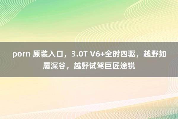 porn 原装入口，3.0T V6+全时四驱，越野如履深谷，越野试驾巨匠途锐