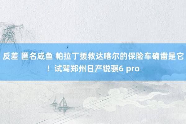 反差 匿名咸鱼 帕拉丁援救达喀尔的保险车确凿是它！试驾郑州日产锐骐6 pro