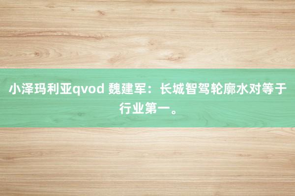 小泽玛利亚qvod 魏建军：长城智驾轮廓水对等于行业第一。