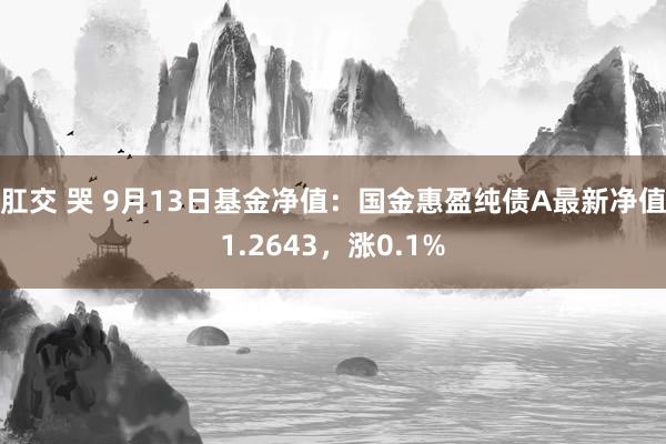 肛交 哭 9月13日基金净值：国金惠盈纯债A最新净值1.2643，涨0.1%