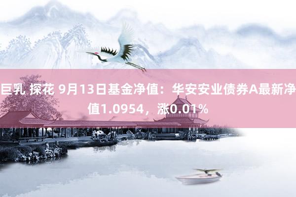 巨乳 探花 9月13日基金净值：华安安业债券A最新净值1.0954，涨0.01%