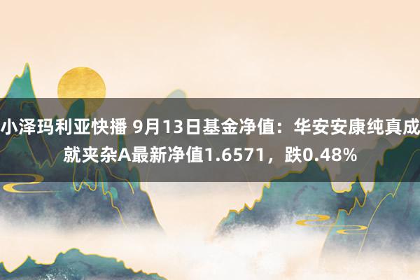 小泽玛利亚快播 9月13日基金净值：华安安康纯真成就夹杂A最新净值1.6571，跌0.48%