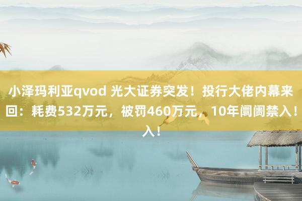 小泽玛利亚qvod 光大证券突发！投行大佬内幕来回：耗费532万元，被罚460万元，10年阛阓禁入！