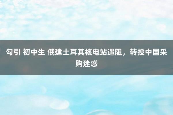 勾引 初中生 俄建土耳其核电站遇阻，转投中国采购迷惑