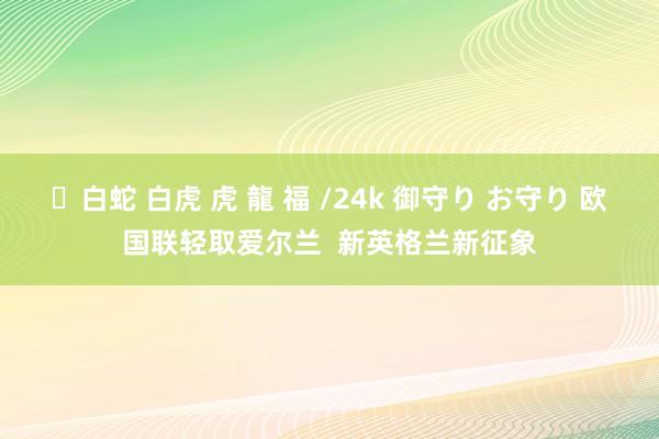 ✨白蛇 白虎 虎 龍 福 /24k 御守り お守り 欧国联轻取爱尔兰  新英格兰新征象