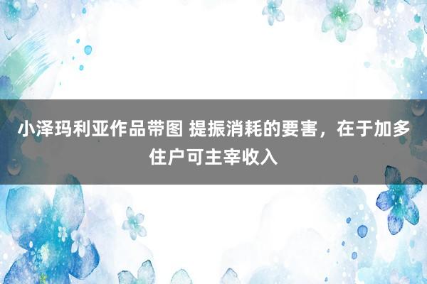 小泽玛利亚作品带图 提振消耗的要害，在于加多住户可主宰收入