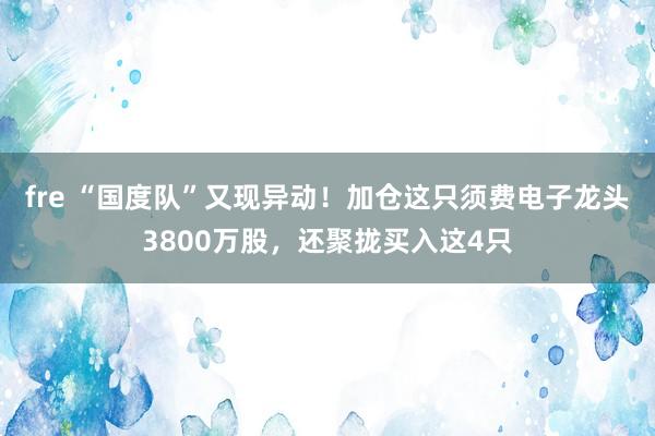 fre “国度队”又现异动！加仓这只须费电子龙头3800万股，还聚拢买入这4只