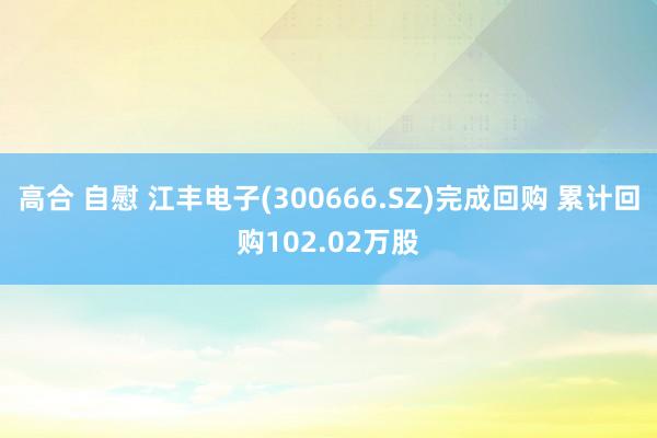 高合 自慰 江丰电子(300666.SZ)完成回购 累计回购102.02万股