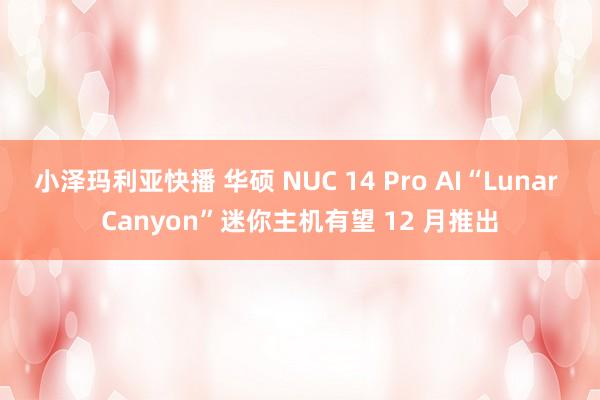 小泽玛利亚快播 华硕 NUC 14 Pro AI“Lunar Canyon”迷你主机有望 12 月推出