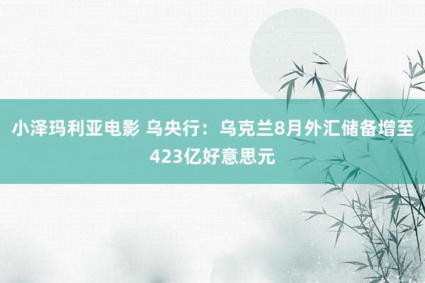 小泽玛利亚电影 乌央行：乌克兰8月外汇储备增至423亿好意思元