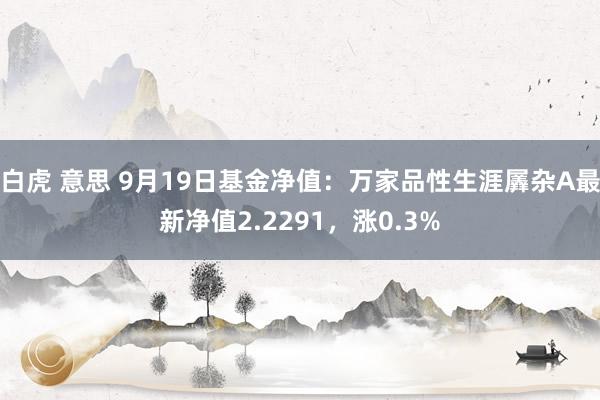 白虎 意思 9月19日基金净值：万家品性生涯羼杂A最新净值2.2291，涨0.3%