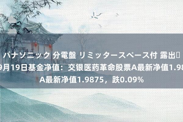 パナソニック 分電盤 リミッタースペース付 露出・半埋込両用形 9月19日基金净值：交银医药革命股票A最新净值1.9875，跌0.09%