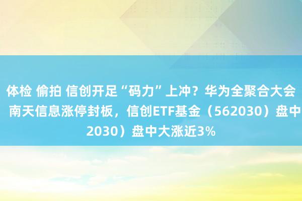 体检 偷拍 信创开足“码力”上冲？华为全聚合大会当天召开，南天信息涨停封板，信创ETF基金（562030）盘中大涨近3%