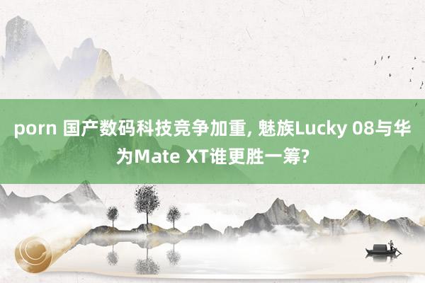 porn 国产数码科技竞争加重, 魅族Lucky 08与华为Mate XT谁更胜一筹?