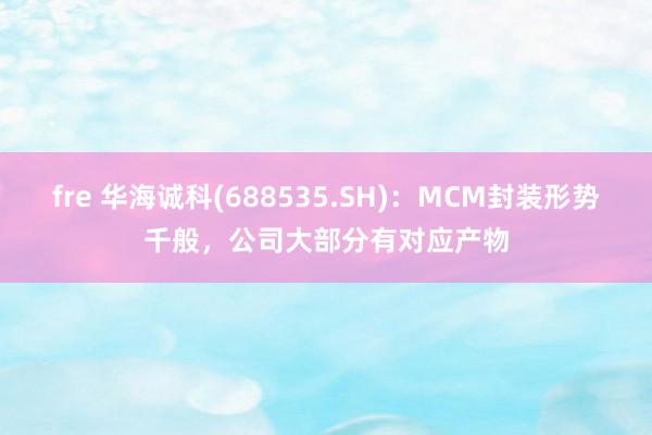 fre 华海诚科(688535.SH)：MCM封装形势千般，公司大部分有对应产物