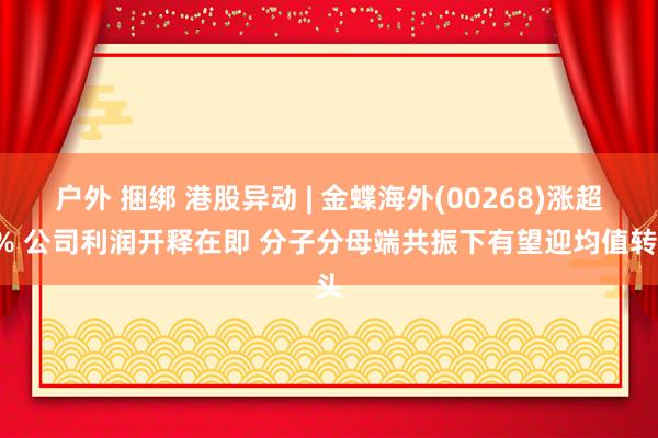 户外 捆绑 港股异动 | 金蝶海外(00268)涨超9% 公司利润开释在即 分子分母端共振下有望迎均值转头