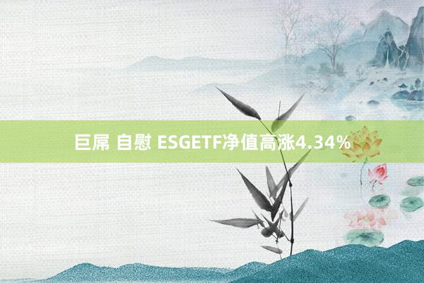 巨屌 自慰 ESGETF净值高涨4.34%