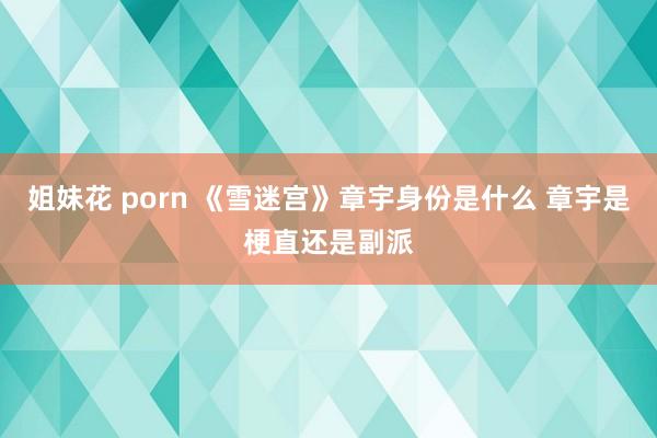 姐妹花 porn 《雪迷宫》章宇身份是什么 章宇是梗直还是副派