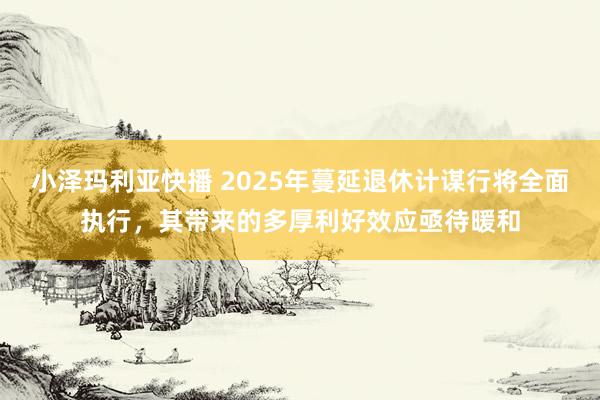 小泽玛利亚快播 2025年蔓延退休计谋行将全面执行，其带来的多厚利好效应亟待暖和