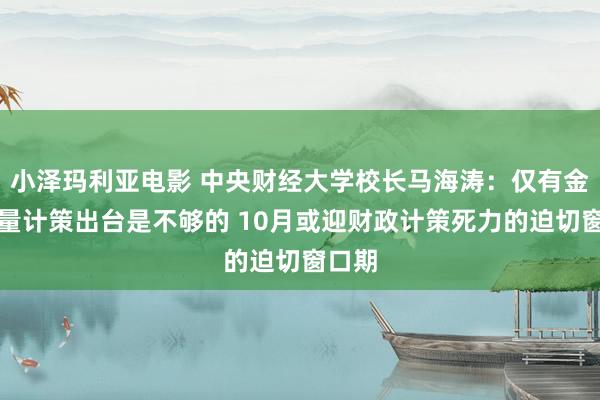 小泽玛利亚电影 中央财经大学校长马海涛：仅有金融增量计策出台是不够的 10月或迎财政计策死力的迫切窗口期