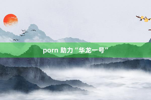 porn 助力“华龙一号”