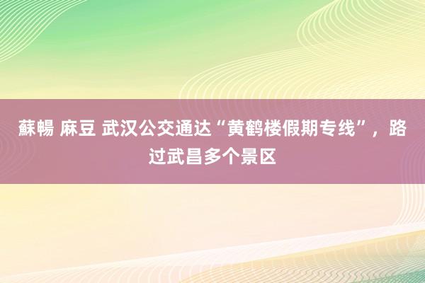 蘇暢 麻豆 武汉公交通达“黄鹤楼假期专线”，路过武昌多个景区