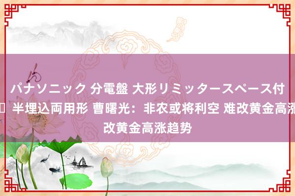 パナソニック 分電盤 大形リミッタースペース付 露出・半埋込両用形 曹曙光：非农或将利空 难改黄金高涨趋势