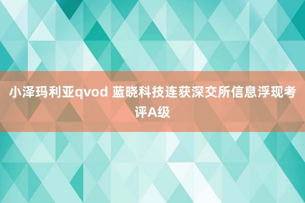 小泽玛利亚qvod 蓝晓科技连获深交所信息浮现考评A级