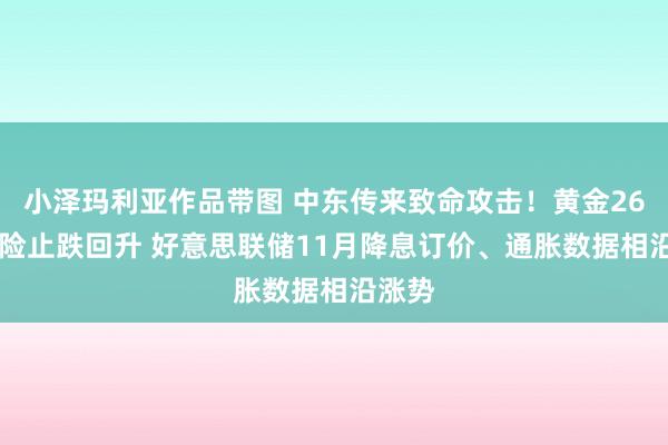 小泽玛利亚作品带图 中东传来致命攻击！黄金2660避险止跌回升 好意思联储11月降息订价、通胀数据相沿涨势