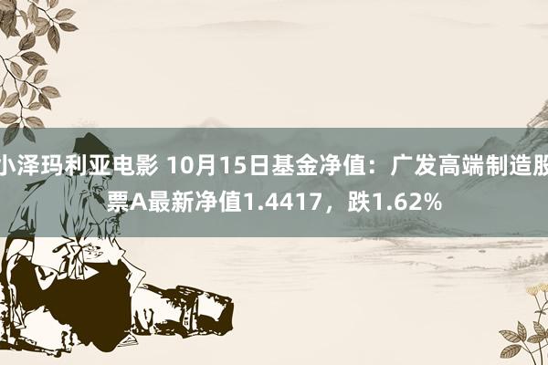 小泽玛利亚电影 10月15日基金净值：广发高端制造股票A最新净值1.4417，跌1.62%