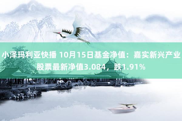 小泽玛利亚快播 10月15日基金净值：嘉实新兴产业股票最新净值3.084，跌1.91%