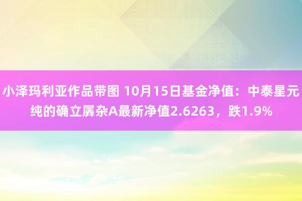 小泽玛利亚作品带图 10月15日基金净值：中泰星元纯的确立羼杂A最新净值2.6263，跌1.9%