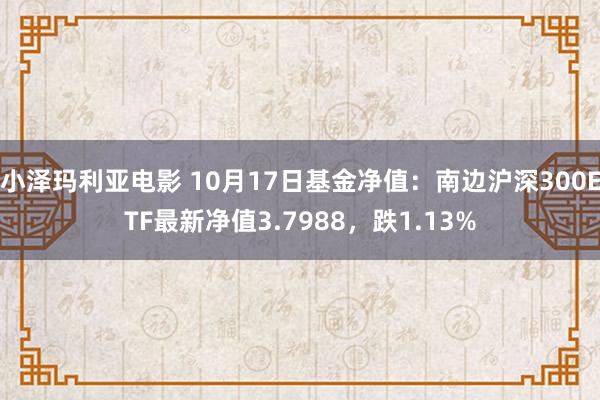 小泽玛利亚电影 10月17日基金净值：南边沪深300ETF最新净值3.7988，跌1.13%