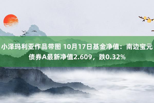 小泽玛利亚作品带图 10月17日基金净值：南边宝元债券A最新净值2.609，跌0.32%