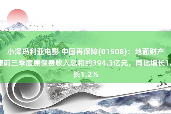 小泽玛利亚电影 中国再保障(01508)：地面财产保障前三季度原保费收入总和约394.3亿元，同比增长1.2%