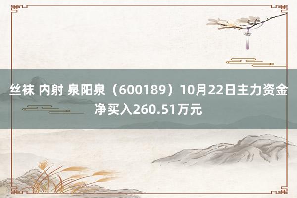 丝袜 内射 泉阳泉（600189）10月22日主力资金净买入260.51万元