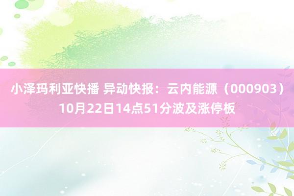 小泽玛利亚快播 异动快报：云内能源（000903）10月22日14点51分波及涨停板