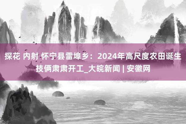 探花 内射 怀宁县雷埠乡：2024年高尺度农田诞生技俩肃肃开工_大皖新闻 | 安徽网