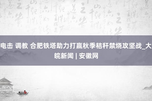 电击 调教 合肥铁塔助力打赢秋季秸秆禁烧攻坚战_大皖新闻 | 安徽网