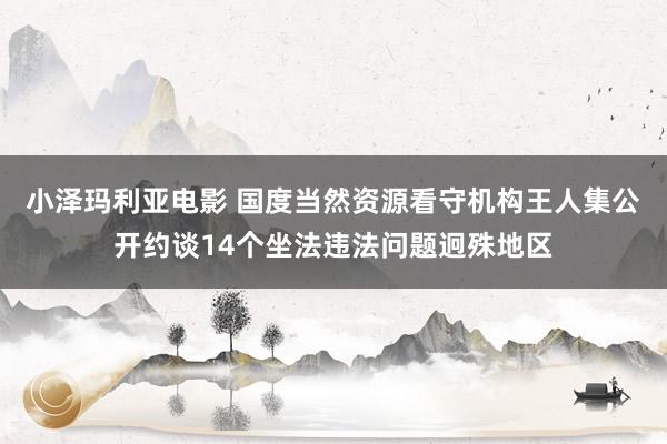 小泽玛利亚电影 国度当然资源看守机构王人集公开约谈14个坐法违法问题迥殊地区