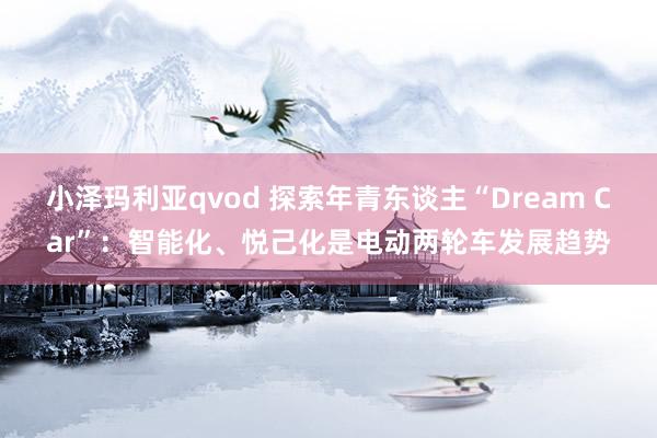 小泽玛利亚qvod 探索年青东谈主“Dream Car”：智能化、悦己化是电动两轮车发展趋势