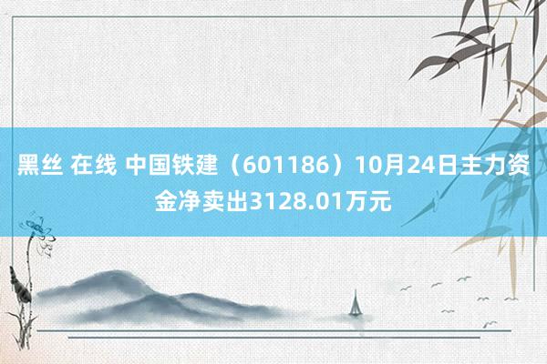 黑丝 在线 中国铁建（601186）10月24日主力资金净卖出3128.01万元