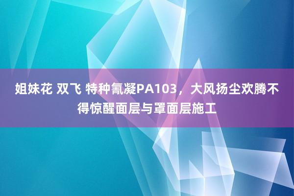 姐妹花 双飞 特种氰凝PA103，大风扬尘欢腾不得惊醒面层与罩面层施工