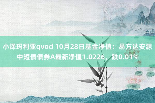 小泽玛利亚qvod 10月28日基金净值：易方达安源中短债债券A最新净值1.0226，跌0.01%