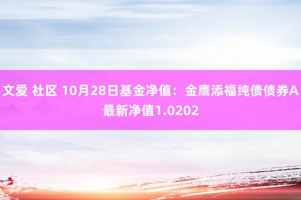 文爱 社区 10月28日基金净值：金鹰添福纯债债券A最新净值1.0202