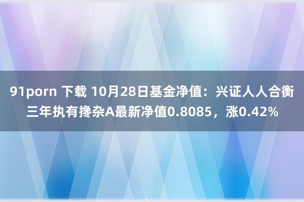 91porn 下载 10月28日基金净值：兴证人人合衡三年执有搀杂A最新净值0.8085，涨0.42%