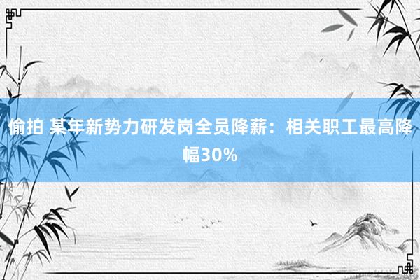 偷拍 某年新势力研发岗全员降薪：相关职工最高降幅30%