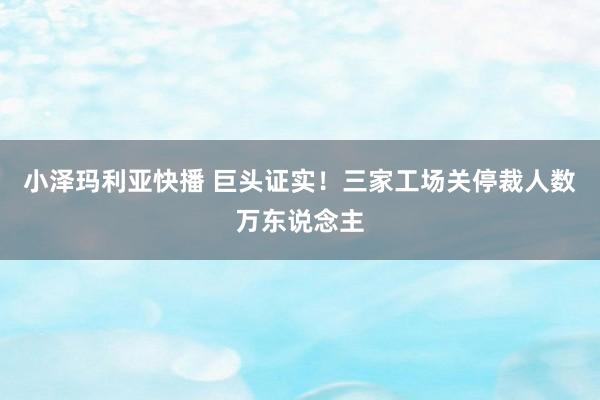 小泽玛利亚快播 巨头证实！三家工场关停裁人数万东说念主